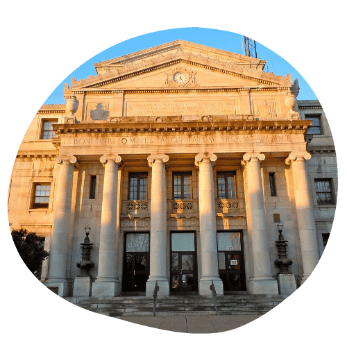 Delco Cat Sitting Service Area Media Courthouse