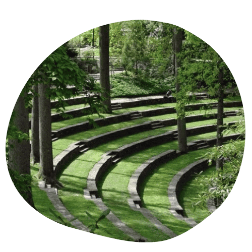 Delco Cat Sitting Service Area Media Courthouse